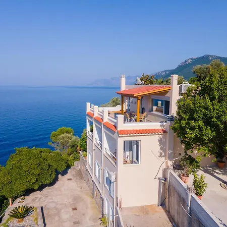 The Life Guest house