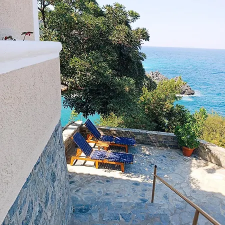 The Life Guest house